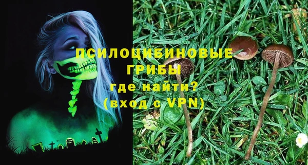 МДПВ Алексин
