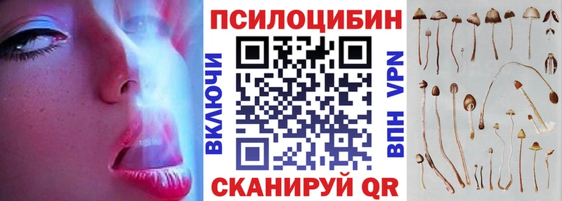 гидра как зайти  магазин продажи наркотиков  Камышин  Галлюциногенные грибы ЛСД 