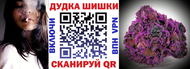 где продают наркотики  Камышин  Бошки марихуана план 