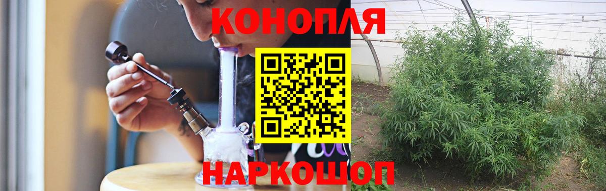 Камышин  Марихуана тримм  Вход с VPN  Бошки марихуана семена  Конопля конопля  Каннабис семена 